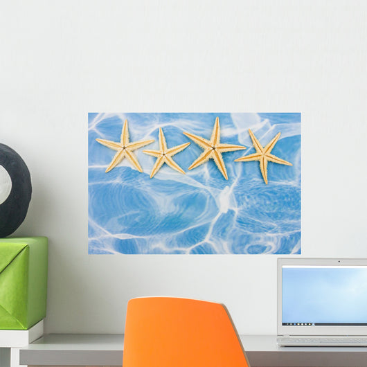 Starfish Border Wall Mural