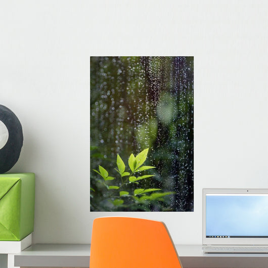 Leaves Rain Wall Decal