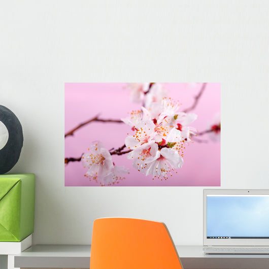 Flowers Wall Mural