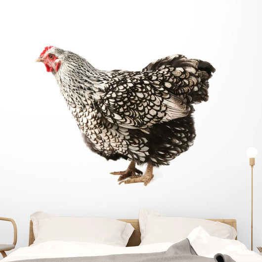 Wyandotte hen Wall Decal