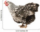 Wyandotte hen Wall Decal