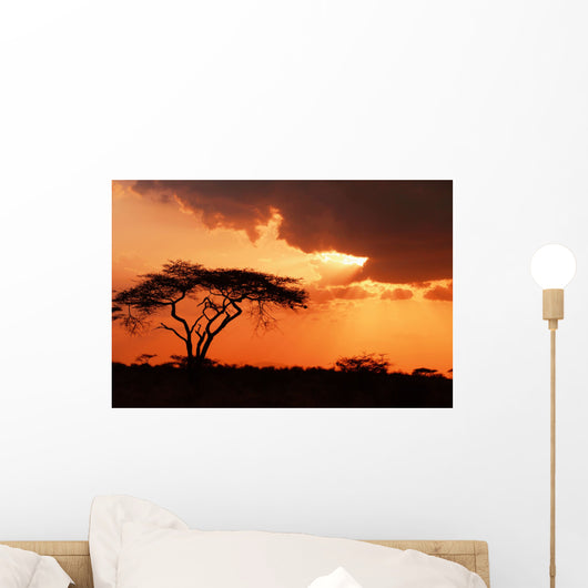 Beautiful african sunset Wall Mural