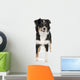 Puppy Australian Shepherd 7 Months Wall Decal