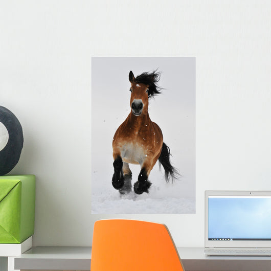 Running horse Wall Mural