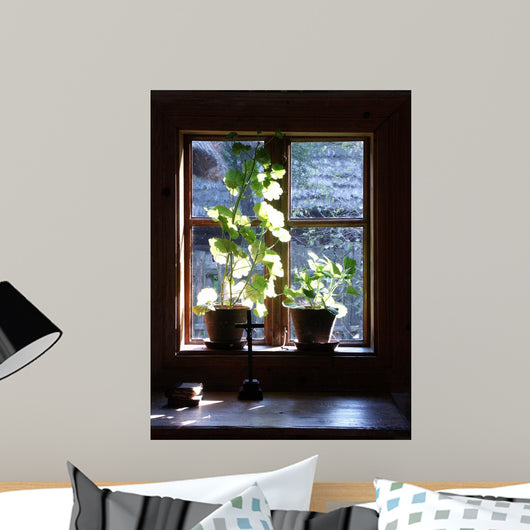 Window Wall Mural