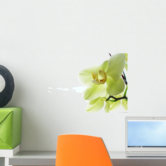 Orchid pale yellow Wall Decal