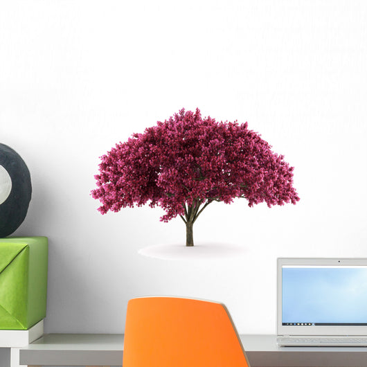 cherry tree isolated on white background with clipping path Wall Decal