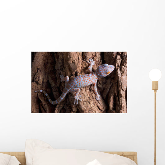 Baby Tokay Gecko Tree Wall Mural