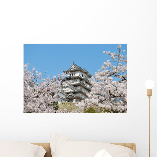 Cherry blossoms at Himeji castle Wall Mural