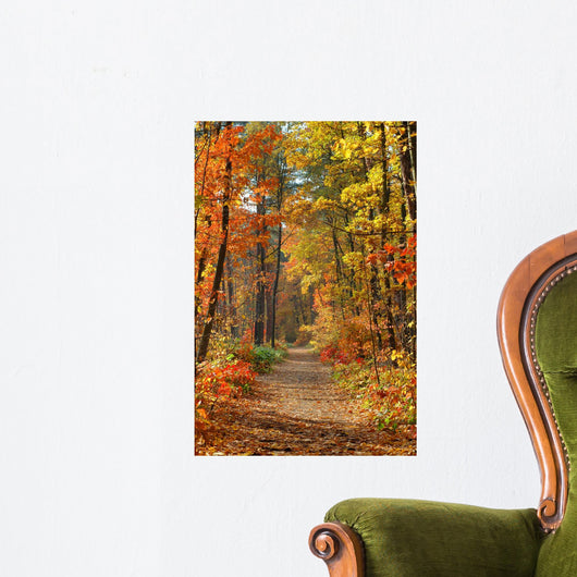 Fall Wall Mural