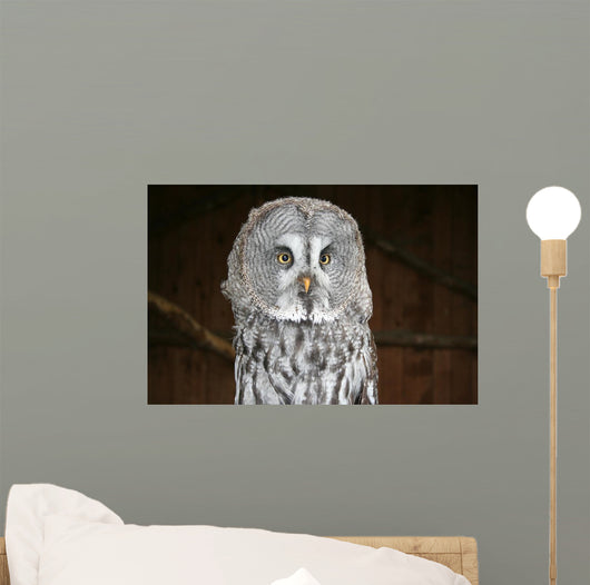 OWL Wall Mural