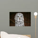 OWL Wall Mural