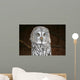 OWL Wall Mural