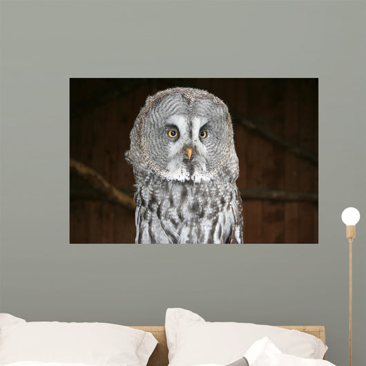 OWL Wall Mural