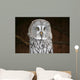 OWL Wall Mural