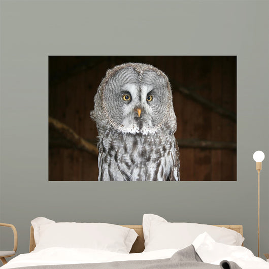 OWL Wall Mural