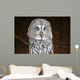 OWL Wall Mural