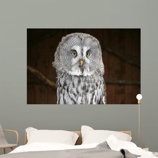 OWL Wall Mural