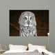 OWL Wall Mural