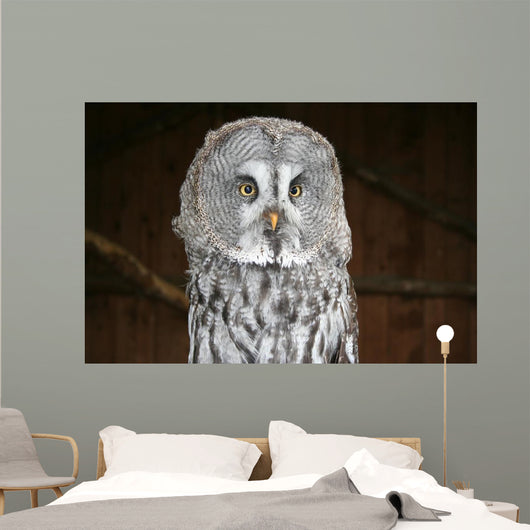 OWL Wall Mural