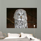 OWL Wall Mural