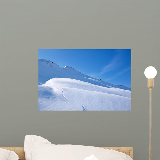 Skiing in Perfekt Powder Snow Wall Mural