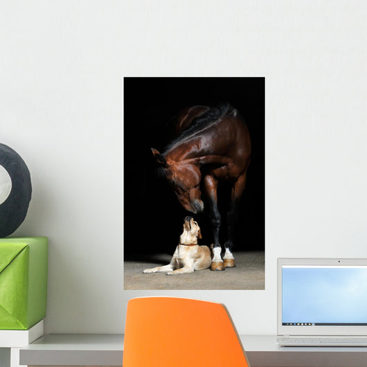 Horse and Dog Wall Mural