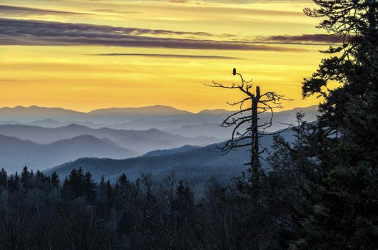 Smokey Mountains Scenic Sunset Wall Decal