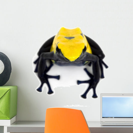 Citronella Dyeing Poison Dart Frog Wall Decal