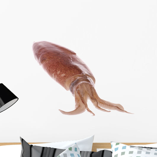 Fresh Squid Isolated Wall Decal