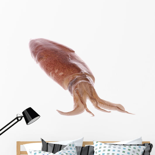 Fresh Squid Isolated Wall Decal