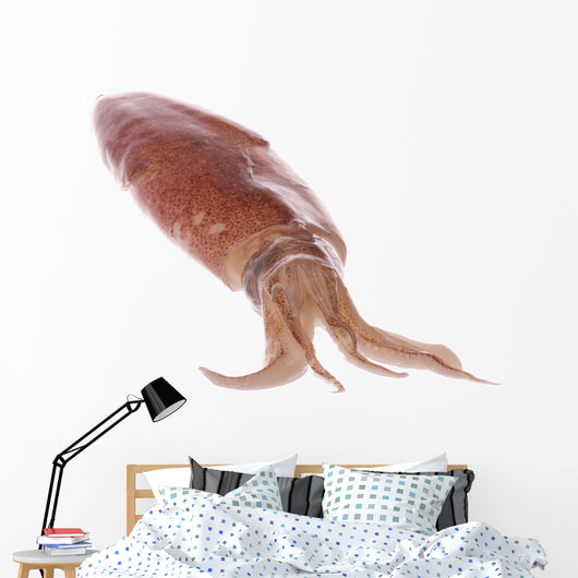 Fresh Squid Isolated Wall Decal