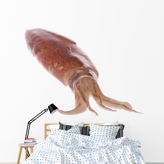Fresh Squid Isolated Wall Decal