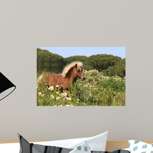 Pony - Gallop in Blumenwiese Wall Mural