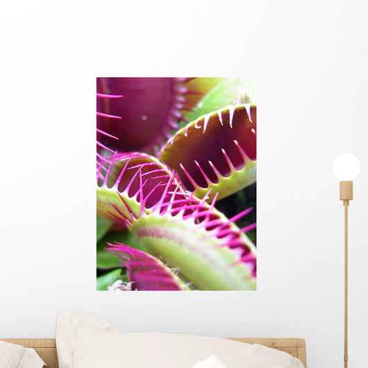 Carnivorous Plant Wall Mural