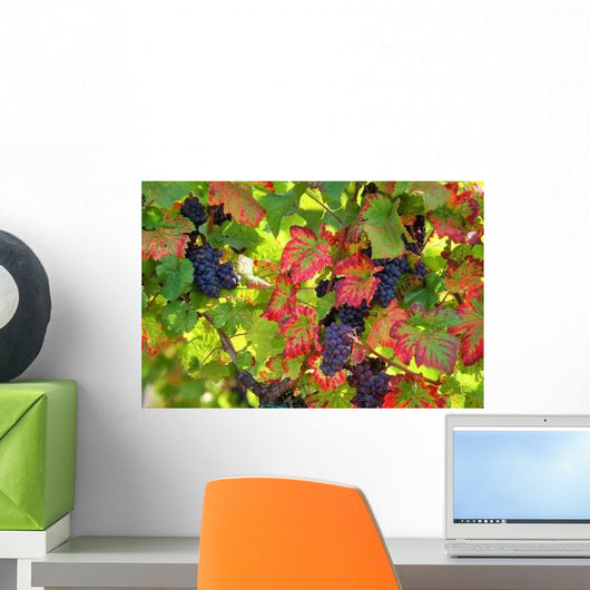 Grape Black Wall Decal
