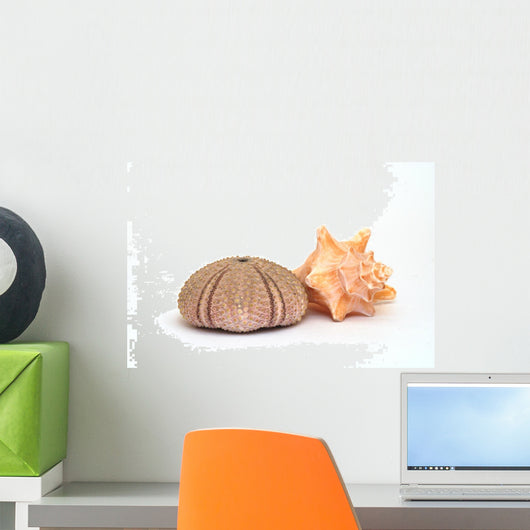 seashells Wall Decal