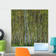 Birch Forest 2 Wall Decal