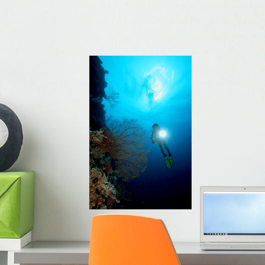 diver and coral reef Wall Mural