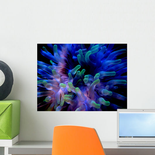 Glowing Sea Life Wall Decal