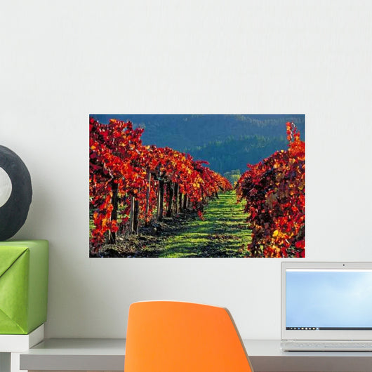 Autumn Vineyards Napa Valley Wall Decal