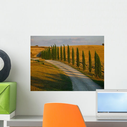 Cypress Row Tuscany Wall Decal