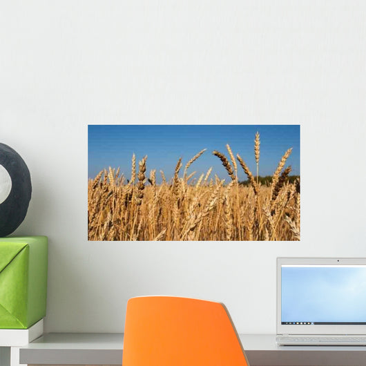 Wheat Field Wall Decal Design 1