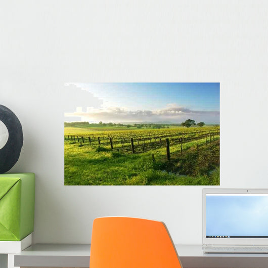 Vineyard Sunrise Wall Decal