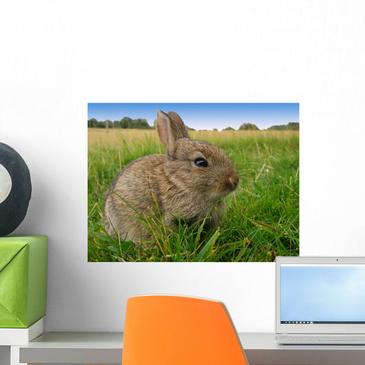 Rabbit Wall Decal