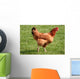 Kura Wall Decal