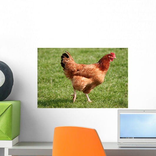 Kura Wall Decal