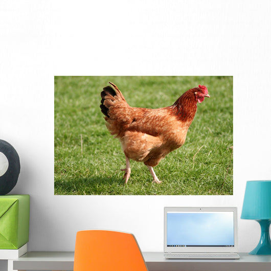 Kura Wall Decal