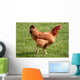 Kura Wall Decal