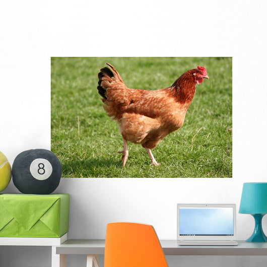 Kura Wall Decal